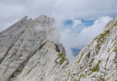 Randonnée A pied Deutschnofen - Nova Ponente - Dolomiti 18 - Photo