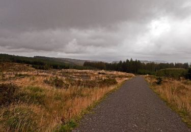 Percorso A piedi South Lakeland - Carron Crag Trail - Photo