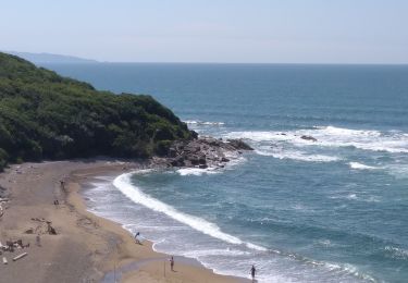Trail Walking Bidart - Bidart -saint jean de Luz  - Photo
