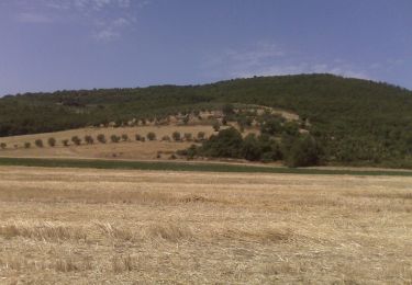 Tocht Te voet Magione - Magione - Monte Ruffiano - Photo