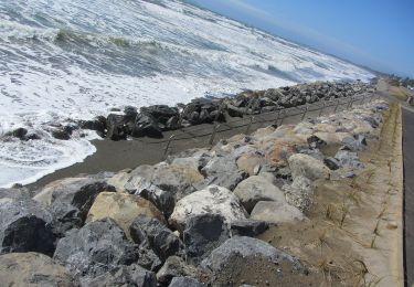 Tocht Te voet  - Te Araroa - 06 Wellington - c Waikanae to Paekakariki - Photo