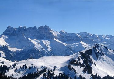 Excursión A pie Saint-Jean-d'Aulps - Tour des Portes du Soleil - Photo