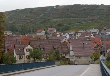 Tour Zu Fuß Vaihingen an der Enz - Riedberg Rundweg - Photo