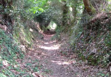 Tour Wandern La Gacilly - La GACILLY - Photo