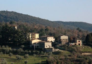 Tour Zu Fuß Gaiole in Chianti - Trekking tra i castelli 8 - Photo