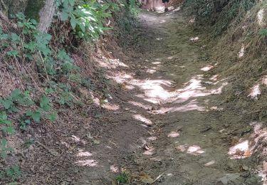 Trail Walking Romillé - Romillé - Photo