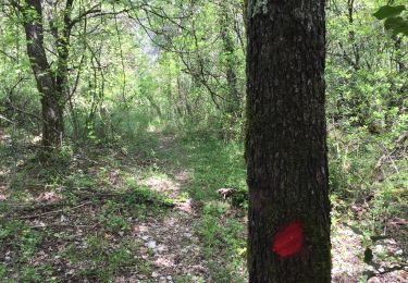 Tour Wandern Touët-sur-Var - Touet sur Var - Photo