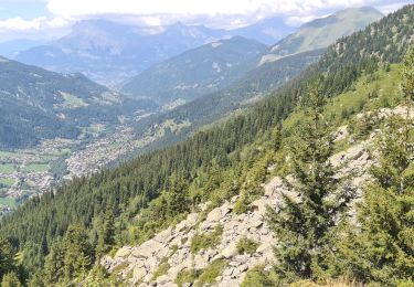 Excursión Senderismo Les Contamines-Montjoie - Le Lay - vers le glacier de Tré la Tête  - Photo