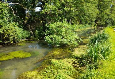 Trail Walking Moncontour - VIENNE / LA SENTE DIVINE: SAINT CHARTRES - LA GRIMAUDIERE - Photo