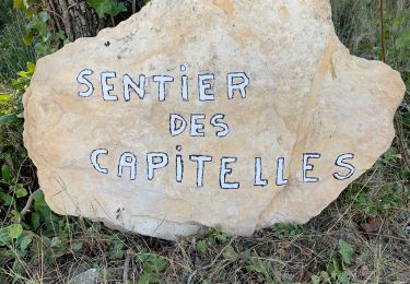 Tocht Stappen Bernis - Capitelles de Bernis - Photo