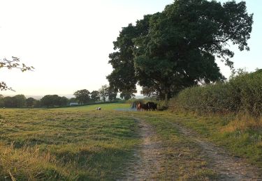 Tocht Te voet East Devon - Aylesbeare Circular - Photo