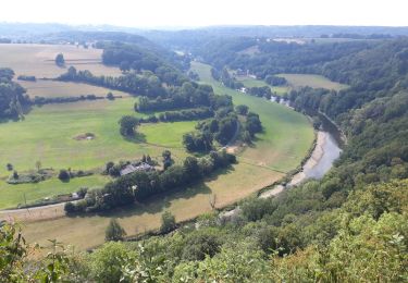 Trail Walking Esneux - ROCHE AUX FAUCONS - Photo