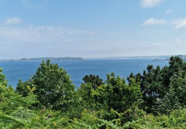 Tour Wandern Perros-Guirec - Ploumanc'h : Côte de granit rose - Photo