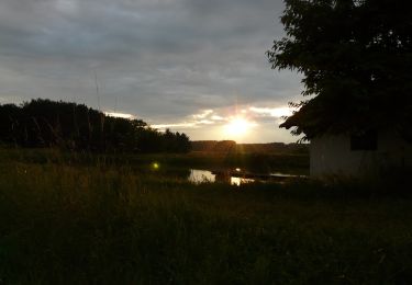 Tocht Te voet Röttenbach - Storchenweg - Photo