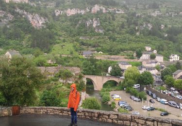 Tocht Stappen Gorges du Tarn Causses - st enimie - Photo