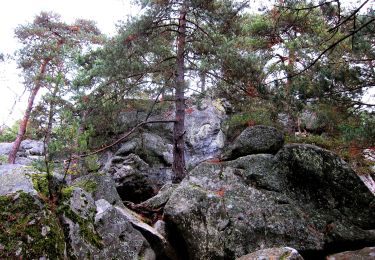 Trail On foot Larchant - Sentier Denecourt-Colinet 19 - Photo