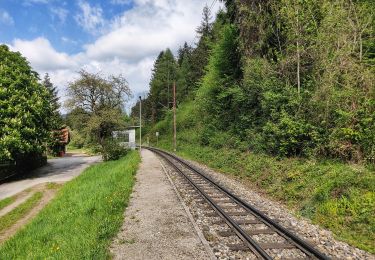 Tocht Te voet Gemeinde Kirchberg an der Pielach - Tut Gut 1 - Photo