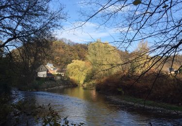 Tocht Stappen Olne - Grisenster chemins des  meuniers - Photo