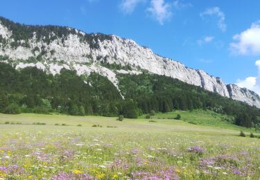 Trail Walking Rencurel - col de roumeyere - Photo