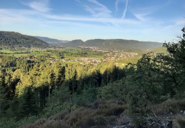 Randonnée Marche Le Syndicat - plaine cleurie - la bresse - Photo