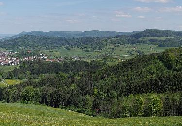 Excursión A pie Schwäbisch Gmünd - Glaubensweg 4 - Photo