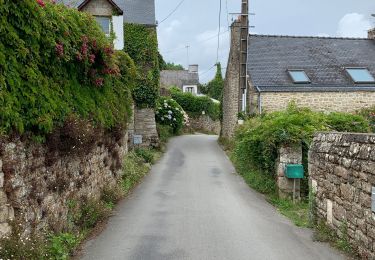 Tour Wandern Île-aux-Moines - L’île aux moines  - Photo