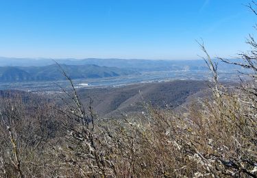 Tour Wandern La Laupie - La Laupie : Sur les Chemins de Borne Rousse 6km5 - Photo