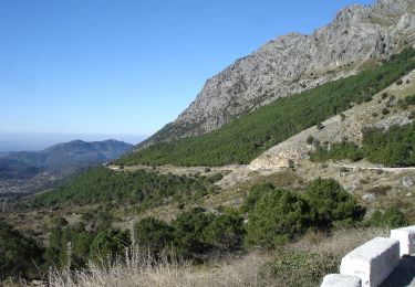 Randonnée A pied Grazalema - PUERTO DE LAS PRESILLAS - Photo