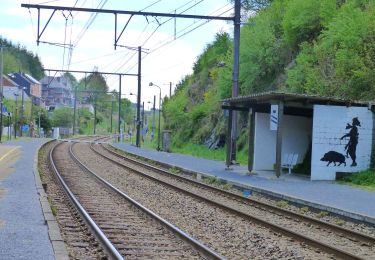 Trail Walking Tellin - GG-Lu-13_Grupont - Poix-Saint-Hubert - Photo