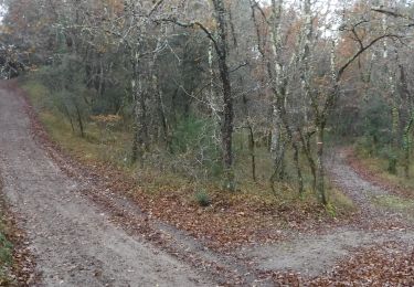 Randonnée Marche Les Mathes - 17 Le requin   -8km800 - Photo