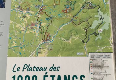 Trail Walking Servance-Miellin - Boucle au plateau des milles étangs départ:Grilloux - Photo