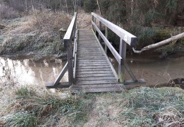 Percorso A piedi Schnaittenbach - Wanderroute Ehenbachweg - Photo