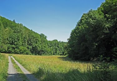 Tour Zu Fuß Knetzgau - Lauftour KNE3 - Photo