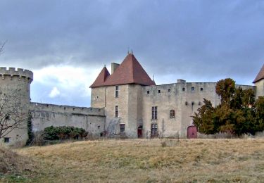 Trail Walking Aigueperse - Aigueperse_Chateau_Roche - Photo