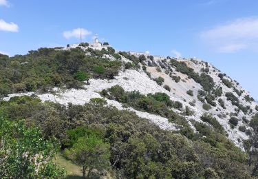 Tocht Stappen La Valette-du-Var - Mt Coudon + crêtes - Photo