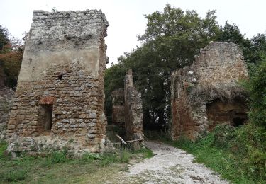 Tour Zu Fuß Canale Monterano - Bicione - Photo