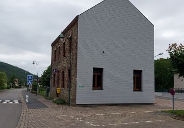 Tour Wandern Landrichamps - Landrichamps 100622 - Photo