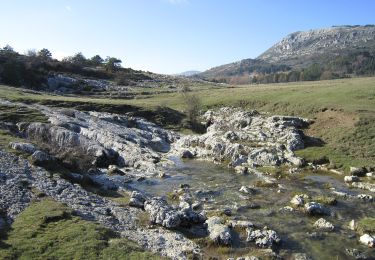 Percorso A piedi Caussols - Plateau de Caussols - Photo