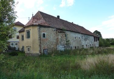 Tocht Te voet Gemeinde Rastenfeld - Golfwanderweg 82 - Photo