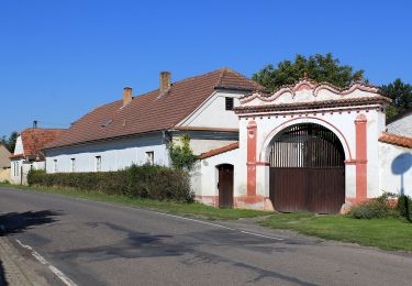 Percorso A piedi Netřebice - naučná stezka Po stopách víly Netřebky - Photo