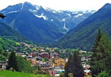 Tocht Te voet Ponte di Legno - Muràcc - Photo