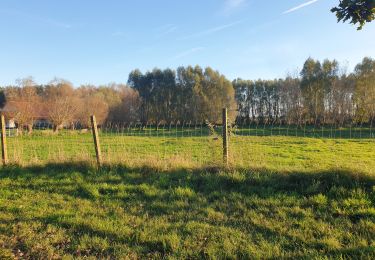 Tour Wandern Ghyvelde - dune cabourg et fossile  - Photo