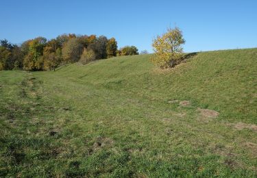 Tocht Te voet Gomadingen - Fleggaronde - Photo