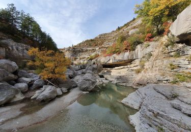 Excursión Senderismo Val-Buëch-Méouge - les gorges de la Méouge - Photo