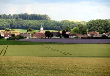 Tocht Stappen Cuisy - Les rus de Goële et la forêt de Montgé  - Photo