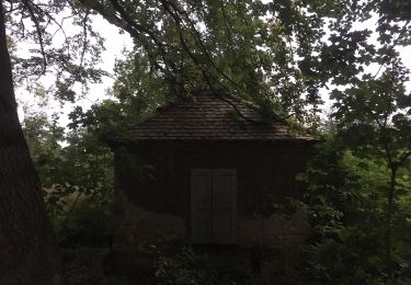 Tour Zu Fuß Trossin - Rundwanderweg Trossin-Falkenberg-Trossin - Photo