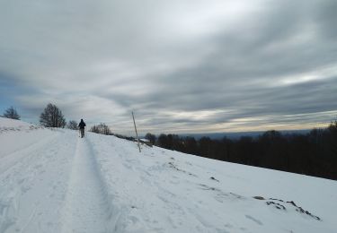 Tour Schneeschuhwandern Lepuix - Wissgrut - Photo