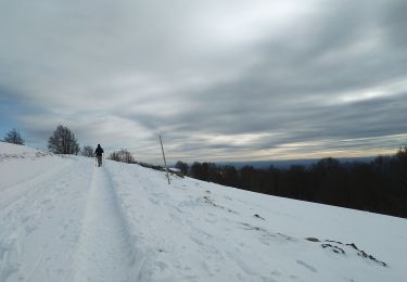 Excursión Raquetas de nieve Lepuix - Wissgrut - Photo