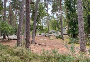 Percorso Marcia Fontainebleau - Forêt de Fontainebleau  - Photo