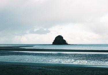 Trail On foot Hibiscus and Bays - Te Araroa - 02 Auckland - f Wenderholm Kayak to Stillwater - Photo